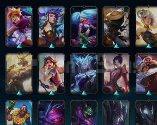 EUW 70WR 160 SKİN ACC