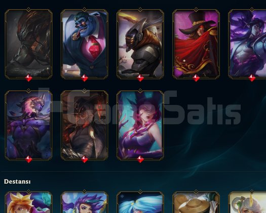 EUW 70WR 160 SKİN ACC