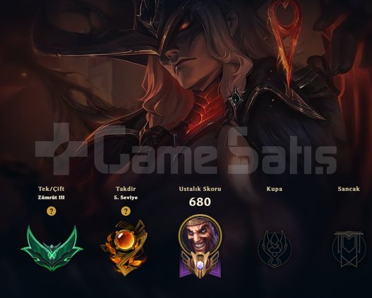 EUW 70WR 160 SKİN ACC