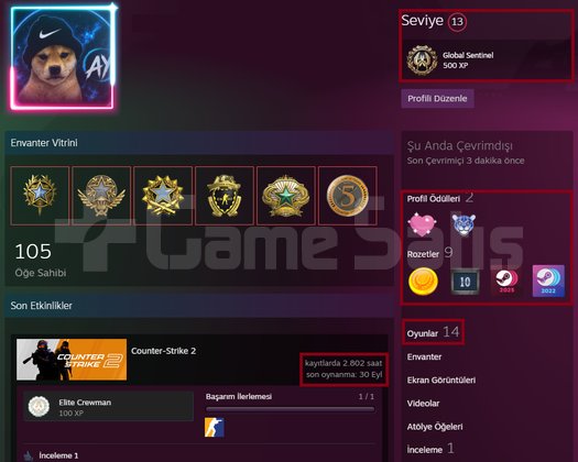 9 MADALYA + FACEIT SEÇKİN HESAP