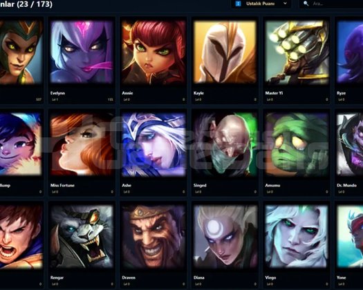 TR/ 33 LVL + 1+2 SKİN + RANK HAZIR