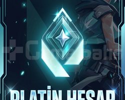TR / PLAT / ELLE KASILMIŞ / MAİL DEĞİŞEN