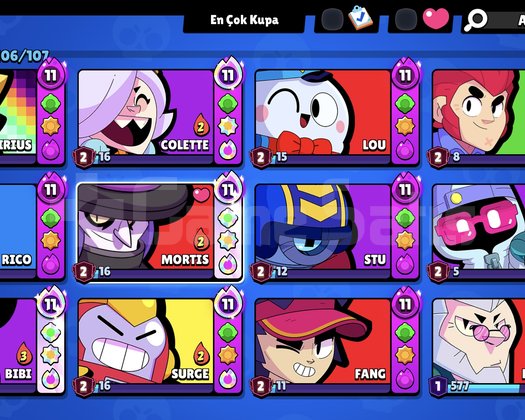 Brawl Stars Mainlik Hesap