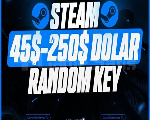 Steam 45-250 Dolar Key Oto Teslim