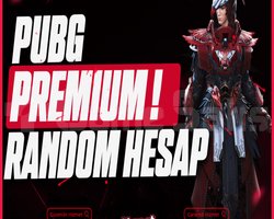 100 Skin Premium Random Hesap