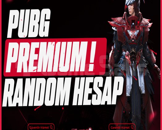 100 Skin Premium Random Hesap