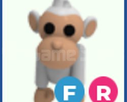 Fly Ride Albino Monkey