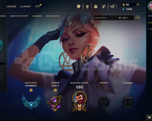 HANDMADE 80 WR PLAT 2 RARE SKİN