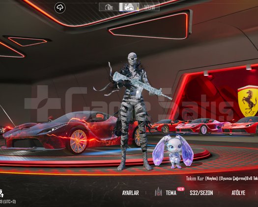 USTA FERRARİ KOLEKSİYONCUSU