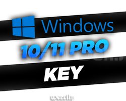 Windows 10/11 Pro Key