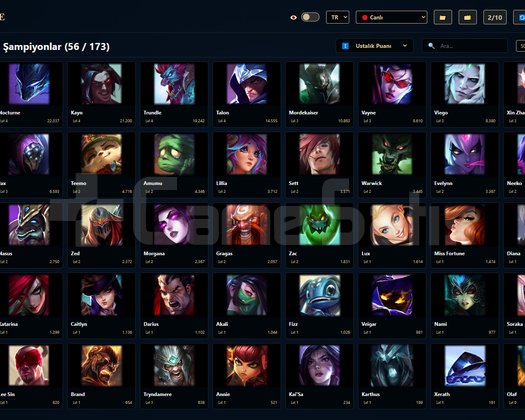 EUW / 48 LVL + 7+3 SKİN + Bronz 4 + OTO