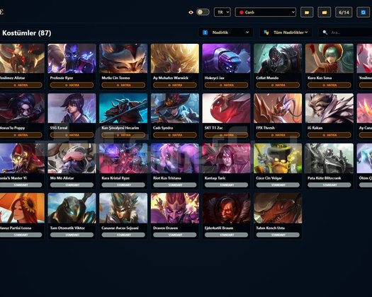 TR / 229 LVL + 100 SKİN + 1625 RP + OTO