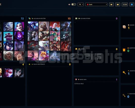 TR / 229 LVL + 100 SKİN + 1625 RP + OTO