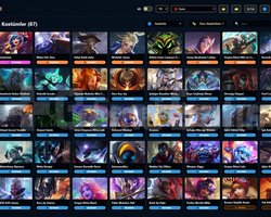 TR / 229 LVL + 100 SKİN + 1625 RP + OTO