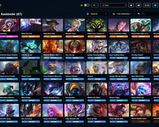 TR / 229 LVL + 100 SKİN + 1625 RP + OTO