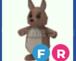 Fly Ride Kangaroo