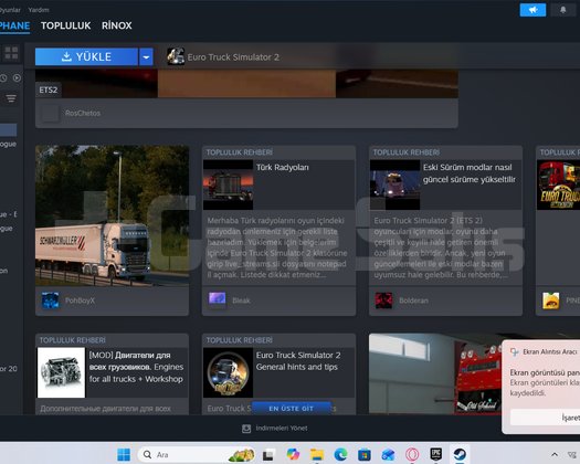 ets 2 steam hesabı