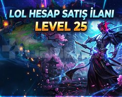 25 LEVEL