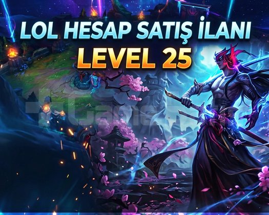 25 LEVEL