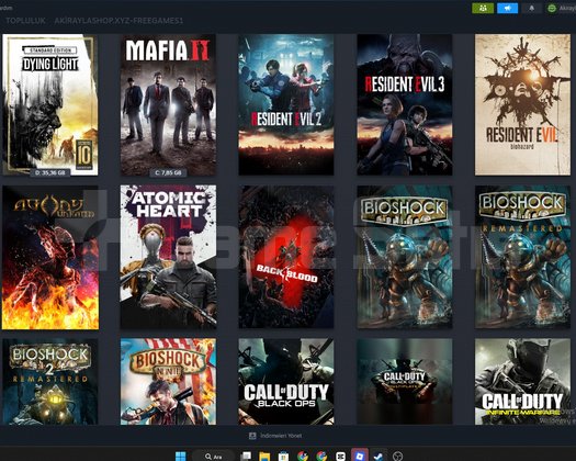 82 Oyunlu Steam Hesabı KAÇIRMA