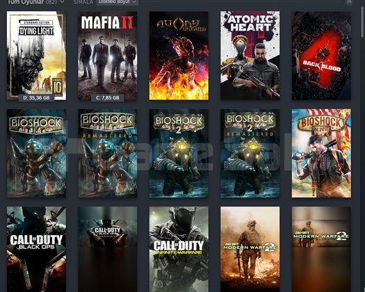 82 Oyunlu Steam Hesabı KAÇIRMA