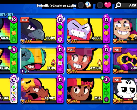 107 de 107 karakter 40 k kupa