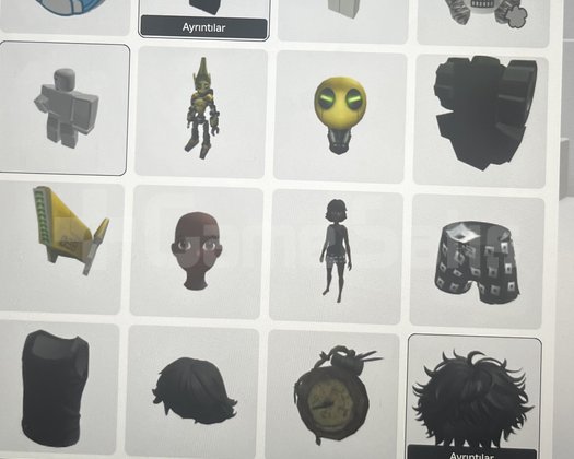 Roblox mainlik hesap kaçırmayın