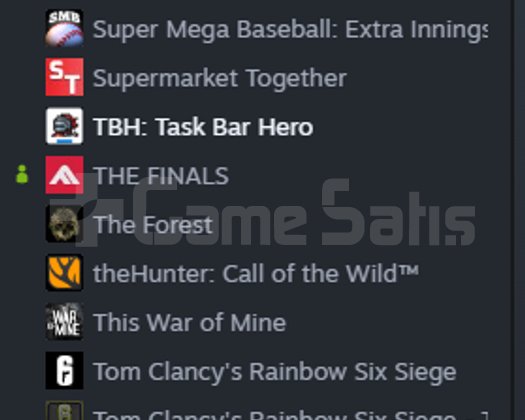 11 Yıllık Steam Hesabı | 76 Oyun + 162 D