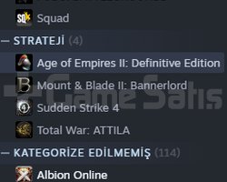 11 Yıllık Steam Hesabı | 76 Oyun + 162 D