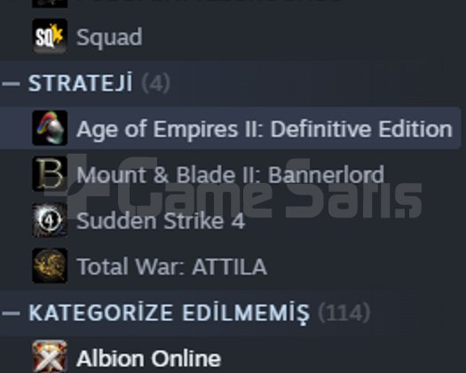 11 Yıllık Steam Hesabı | 76 Oyun + 162 D