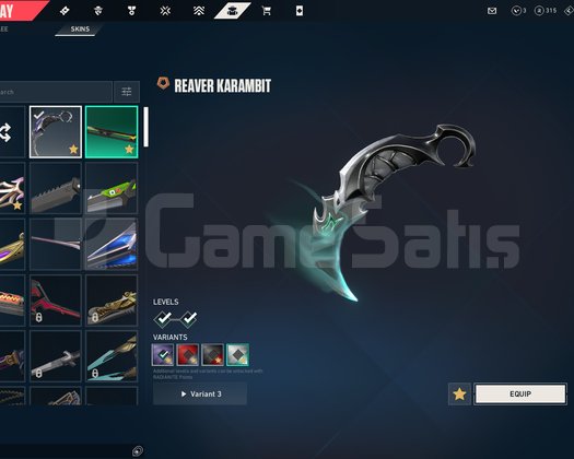 15 Vandallı Champions 2024 Arcane Vandal