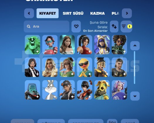 63 skin