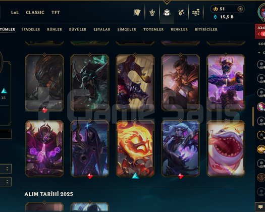 DİAMOND ELO ELİT SKİNLİ MAİNLİK HESAP