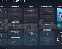 TR Emek hesap 29 adet skin mevcut