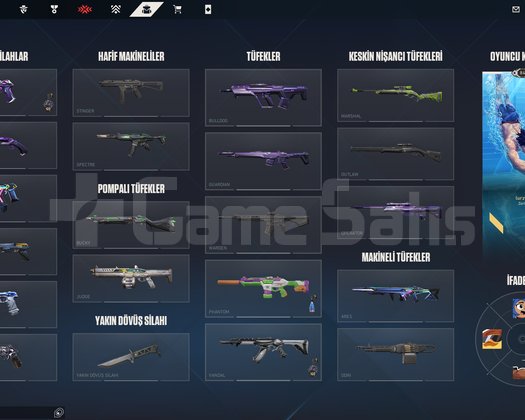 TR Emek hesap 29 adet skin mevcut
