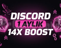 DİSCORD BOOST - OTO TESLİMAT - 14X