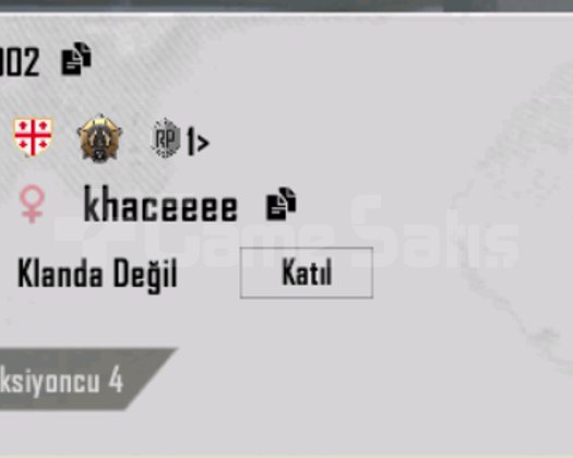 DİREK DEVİRLİ ZİRVE GİREN HESAP