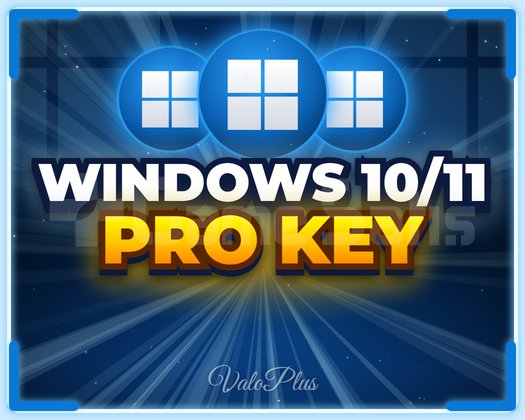 WINDOWS 10/11 PRO LİSANS KEY