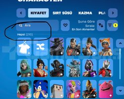 210 skin 1300