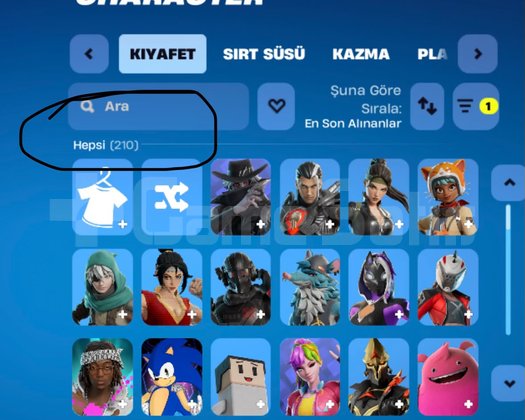 210 skin 1300