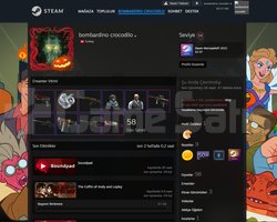 151 Oyunlu 6 Yıllık Steam Hesabı