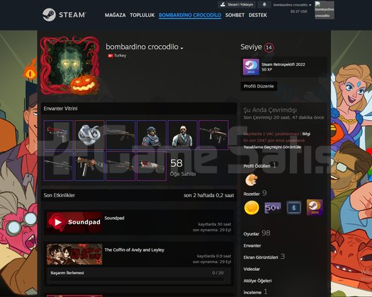 151 Oyunlu 6 Yıllık Steam Hesabı