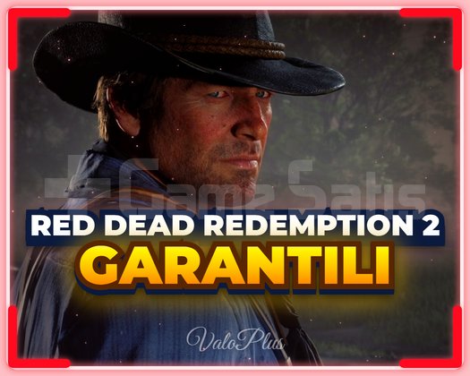 Red Dead Redemption 2 + Garanti