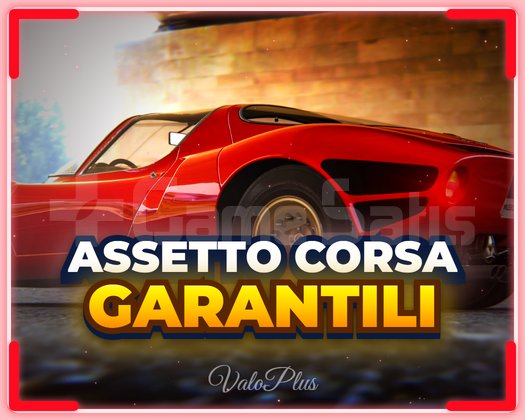 Assetto Corsa + Garanti