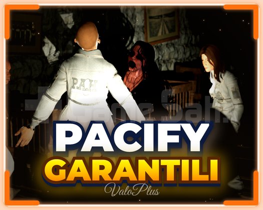 Pacify + Garanti