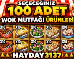 WOK MUTFAĞI ÜRÜNLERİ