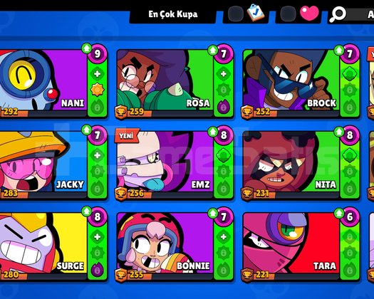 Brawl stars hesabı