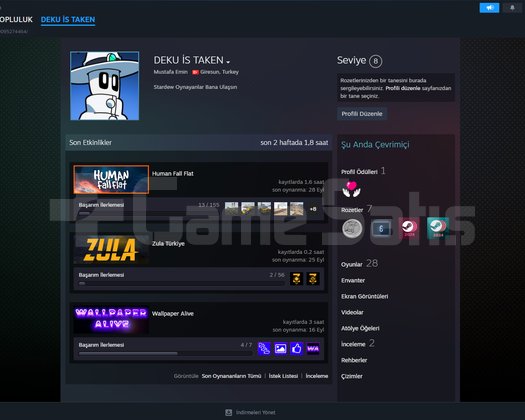 6 Senelik Mükemmel Steam Hesabı