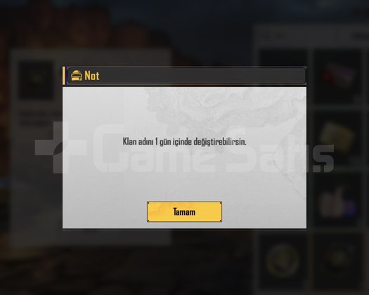 8.9 LVL İSİM DEĞİŞTİRME AKTİF TÜRK KLANI
