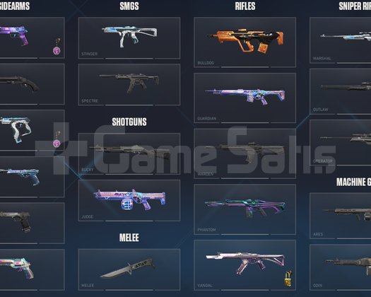 5 Vandallı Dolu Hesap TR